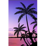 Palm~tree Cafè