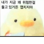 동물벤져스