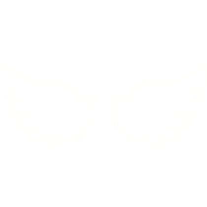 Glowing Angel Wings [EMISSION]