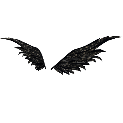 Grunge Grudge Movie Creepy Cool Crow Wings