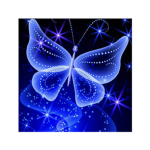 Dream Butterfly Team