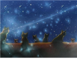 Cats of the Warriors Series!