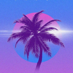 Vibez House