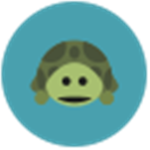 · TURTLE NINJA ·