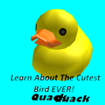 Raising Ducks or Ducklings