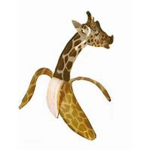 GiraffesAndBananas