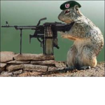 The Rat Army (no cats allowed)