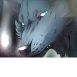 wolves x fox