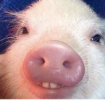 Hello cuties!