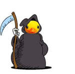 Evil ducks :)