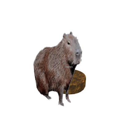capybara