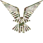 Selous ᅠ Scouts