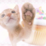 roarws