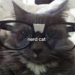 i fawted