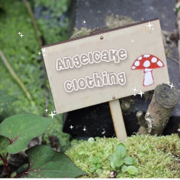 AngelCake Clothing Home Store!