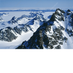 Artic Development Group