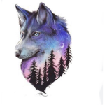 Luna And Wolves Pack!