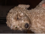 Daisymybab yeah