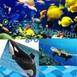 Viki sea life aquaium