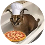 bone app the teeth