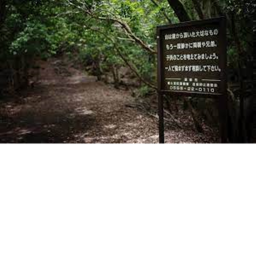 Death Forest