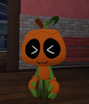 GOURDYS PUMPKINS!