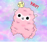 Rainbow Llama's Clothing