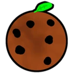 Cookie Orange