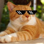 La teams thug Life