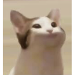 Pop Cat meow Group