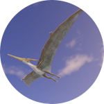 Fish Eater of the Skies