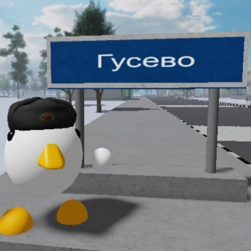 Город Гусево