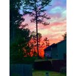 Color weathers
