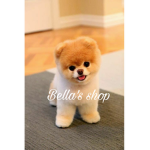 •bellas shop•