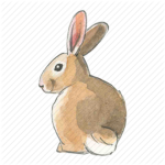 Christian Bunny Fan Club