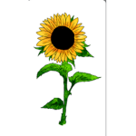Sunflower.sophie