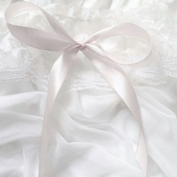 ⋆ ˚｡⋆୨୧˚
