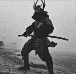 The Bushido Order