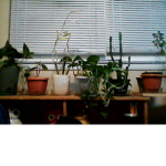 My Chlothing group