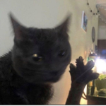 ɪɴɪᴛɪᴀʟ ᴅ
