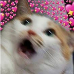~oofies~