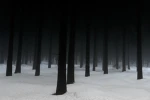 NS on tour Group Thumbnail