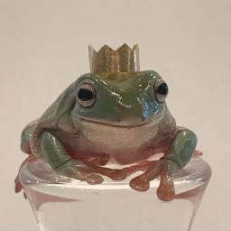 froggo is watching-