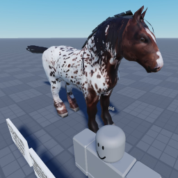 Horse Testing