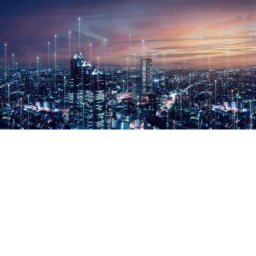 the city