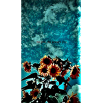 Die rosen