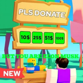 pls donate but you are elon musk