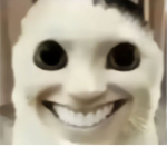*ᴄᴀᴛʟoᴠᴇʀꜱ*