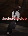 ducksters club