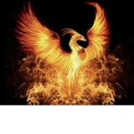ZPG Flames!